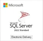SQL Server 2022 Standard License key - Perpetual License