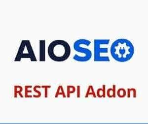 AIOSEO REST API Addon GPL