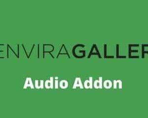 Envira Gallery Audio Addon GPL