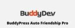 BuddyPress Auto Friendship Pro GPL