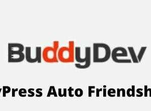 BuddyPress Auto Friendship Pro GPL
