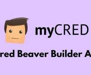 Envira Gallery Beaver Builder Addon GPL