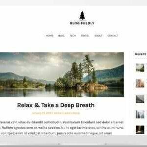 BlogFeedly Theme GPL –Superb Themes
