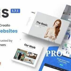 Cesis Theme GPL –Responsive Multi-Purpose WordPress Theme