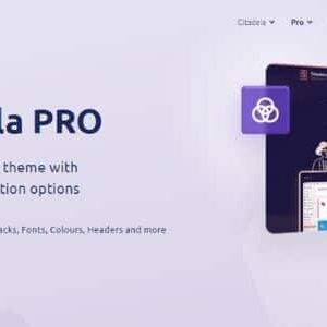 Citadela Pro GPL –Extends Citadela theme with layout customization options