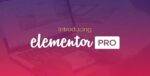 Elementor Pro GPL –Greatest Page Builder for WordPress