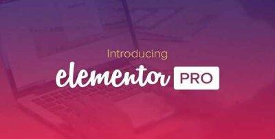 Elementor Pro GPL –Greatest Page Builder for WordPress