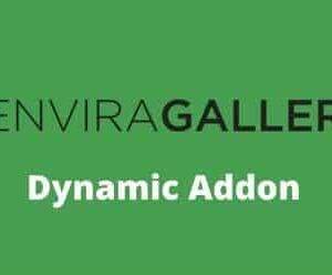 Envira Gallery Dynamic Addon GPL