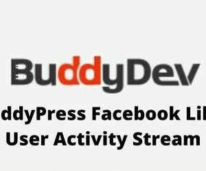 BuddyPress Facebook Like User Activity Stream GPL