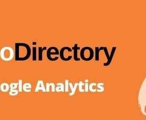 GeoDirectory Google Analytics Addon GPL
