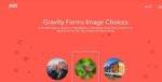 Gravity Forms Image Choices GPL