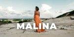 Malina Theme GPL –Personal WordPress Blog Theme