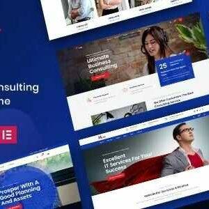 Miva Theme GPL –Business Consulting WordPress Theme