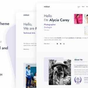Modak One Page WordPress Theme GPL