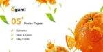 Ogami Theme GPL –Organic Store WordPress Theme