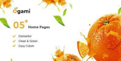 Ogami Theme GPL –Organic Store WordPress Theme