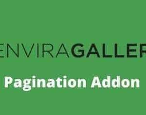 Envira Gallery Pagination Addon GPL