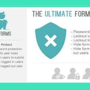 Super Forms Password Protect/User Lockout/Hide