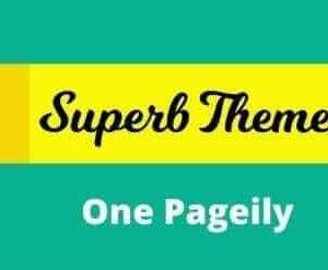 One Pageily Theme GPL –Superb Themes