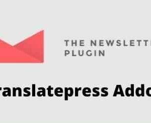 Newsletter Translatepress Addon GPL