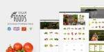Vegan Food Theme GPL –Organic Store Responsive WooCommerce WP Theme