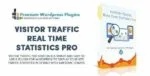 Visitor Traffic Real Time Statistics pro – WordPress Plugin