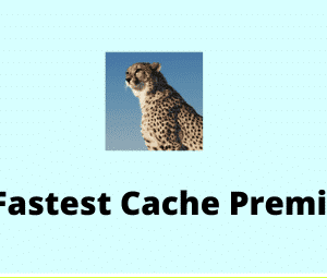 WP Fastest Cache Premium GPL