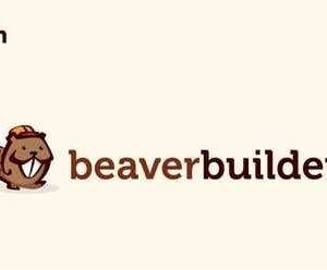 WP Grid Builder Beaver Builder Addon GPL