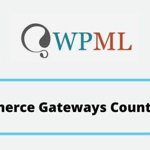 WPML WooCommerce Gateways Country Limiter GPL