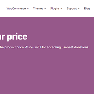 WooCommerce Name Your Price GPL