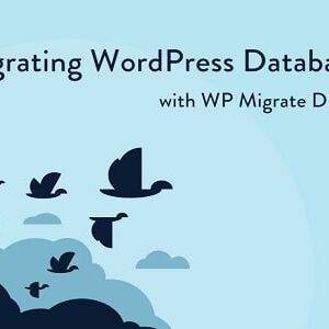 WP Migrate DB Pro GPL –WordPress Site Migration Plugin