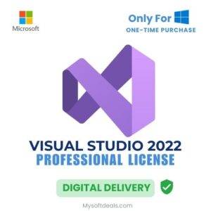 erpetual license key for Visual Studio Professional 2022 for software development.
