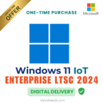 Windows 11 IoT Enterprise LTSC 2024 license for embedded and IoT devices.
