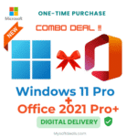 Productivity bundle: Windows 11 Pro and Office 2021 Pro Plus for enhanced workflow.