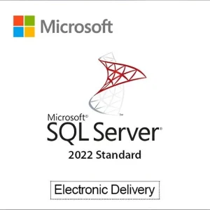 SQL Server 2022 Standard License key - Perpetual License